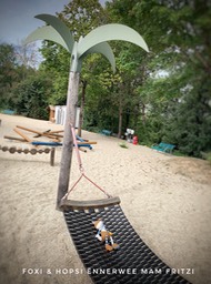 254003A3-2273-435A-A3A6-CA8A6D0895BC