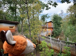 34DFD7FF-7DB4-4813-B1BD-60E762449EF4