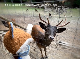 38D8BB86-6955-40A2-8141-1411B418E2EC