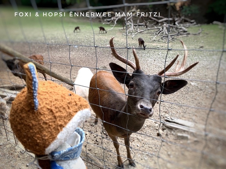 38D8BB86-6955-40A2-8141-1411B418E2EC