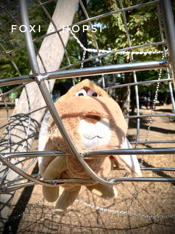 39F29988-706F-43B6-8D8E-09874EF10EDD