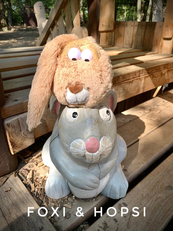 5CFBE773-B866-4DFE-A614-C5D27B78BABD