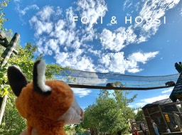 695018A4-B6CE-4732-8E4A-77780943B308