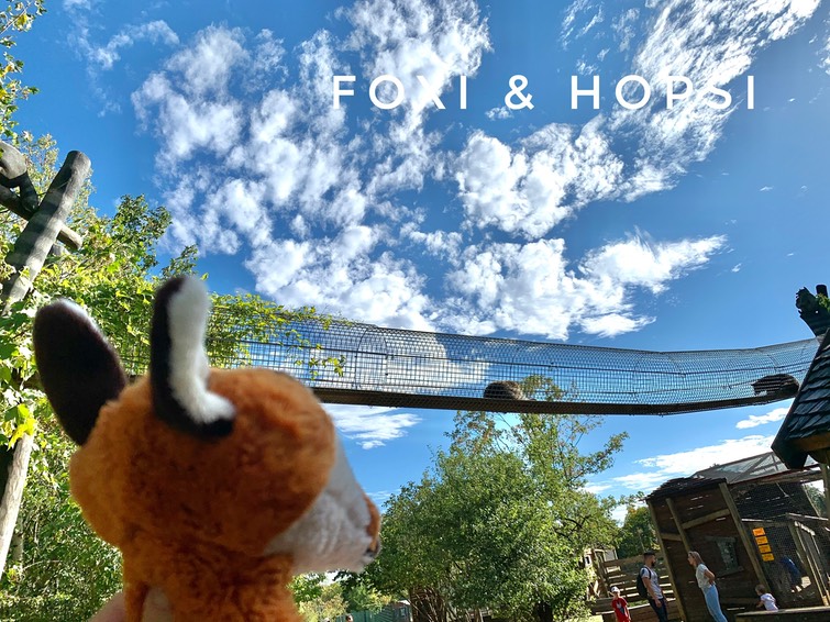 695018A4-B6CE-4732-8E4A-77780943B308