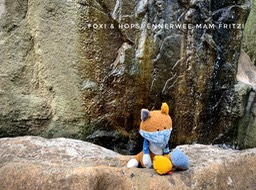 92BACC0A-1F8C-420F-96F6-E6208CA7930F