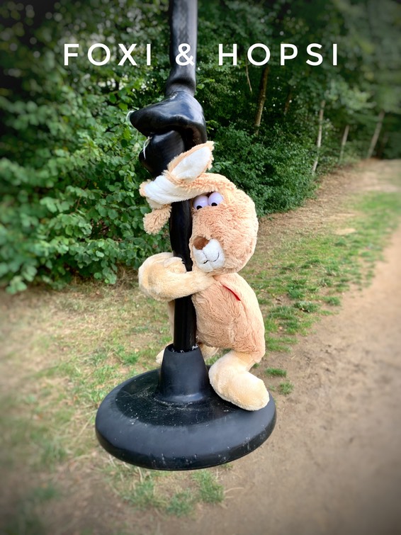 A3F2B446-7FCB-47A7-A806-AA9A19DC5D04