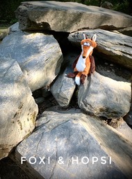 AFFB7A57-43C3-4E16-8CFA-44A3ABE00715