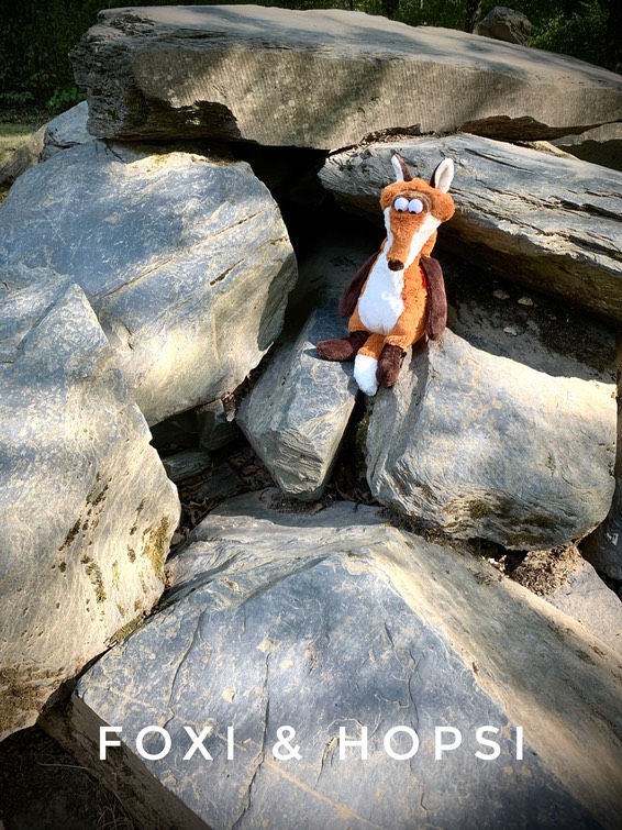 AFFB7A57-43C3-4E16-8CFA-44A3ABE00715