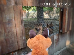 B7F03F55-B40A-4085-9161-D3025C4D3CAD