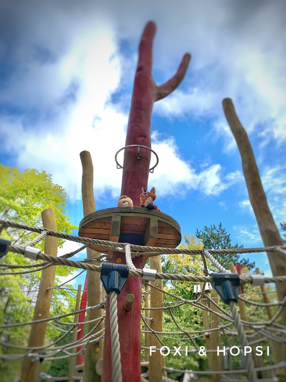 C1E919A1-B15F-41CC-99BE-C366B1320E8A