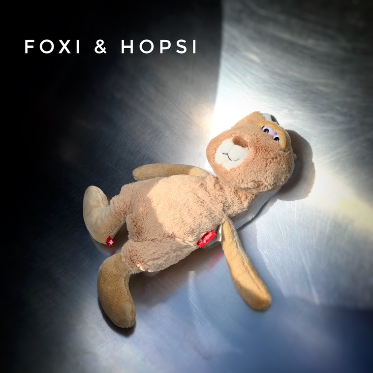 C5CA14A0-C0CA-492C-9BA4-84D7A9AB78EC