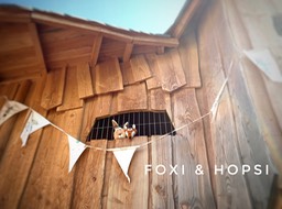 CAA74AD6-9549-41EC-AF32-99E6817C24B0