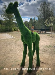 D0CA8EE9-6AB0-4AC2-B6A3-98B43F90452D